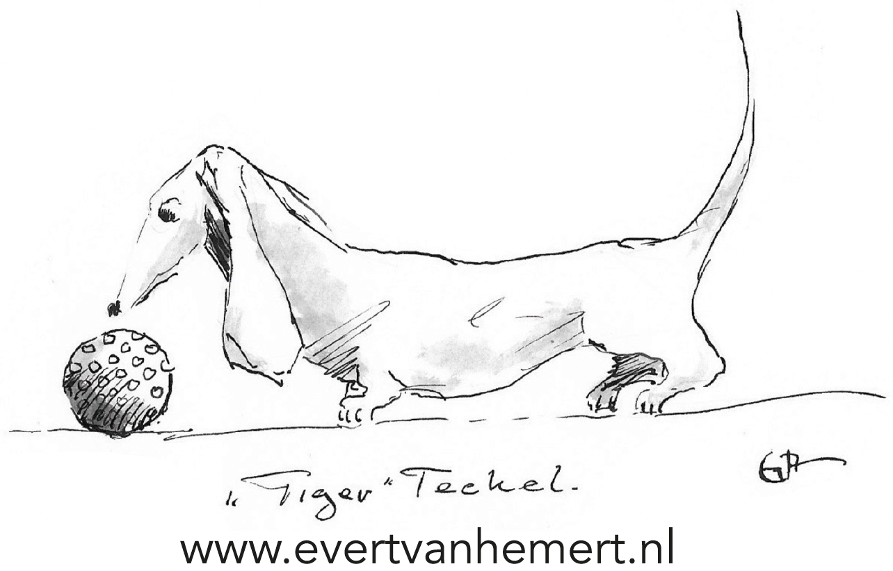 Evert van Hemert - Beeldend kunstenaar